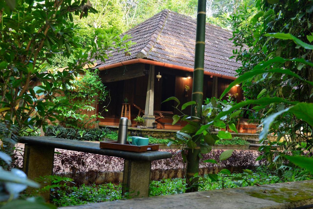Swasthi Serviced Villa Kanjirapalli Exteriér fotografie